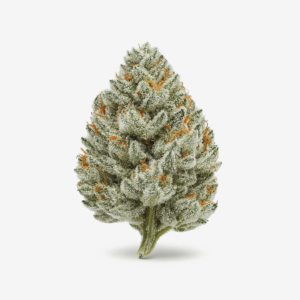 enua 30/1 PS3 MYC – Minty Cookies